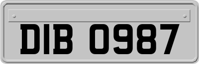 DIB0987
