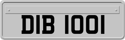 DIB1001