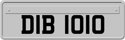 DIB1010