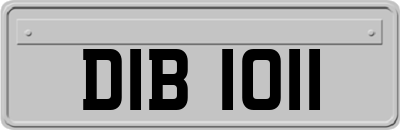 DIB1011