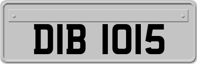 DIB1015