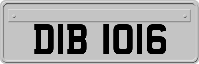 DIB1016