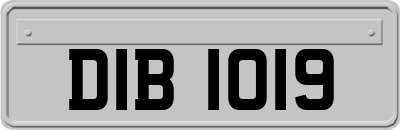 DIB1019