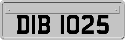 DIB1025