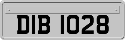 DIB1028
