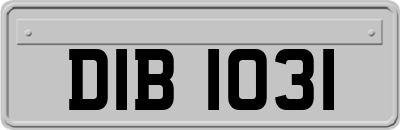 DIB1031