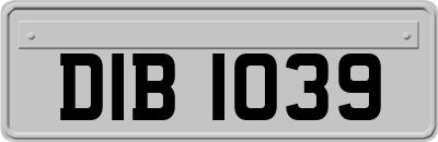 DIB1039