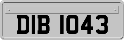 DIB1043