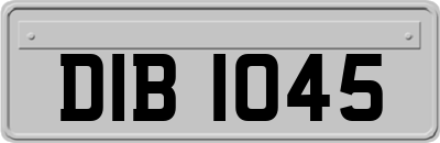 DIB1045