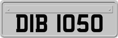 DIB1050