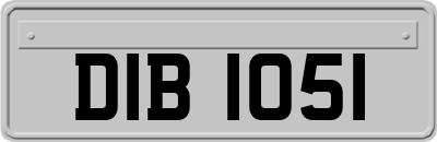 DIB1051