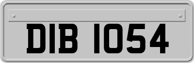 DIB1054
