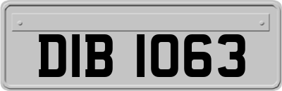 DIB1063