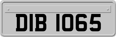 DIB1065