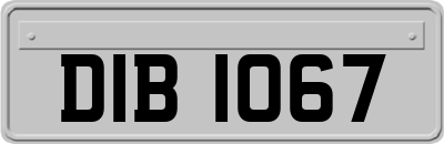 DIB1067