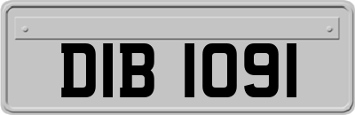 DIB1091