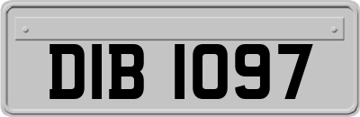 DIB1097