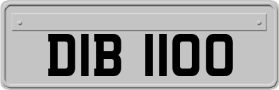 DIB1100
