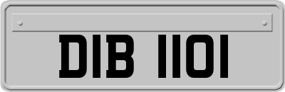 DIB1101