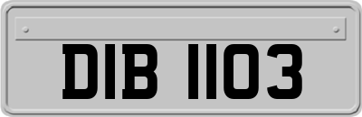 DIB1103
