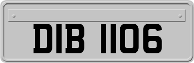 DIB1106