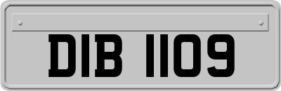 DIB1109