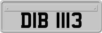 DIB1113