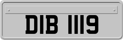 DIB1119