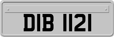 DIB1121