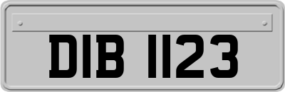 DIB1123
