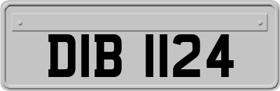 DIB1124