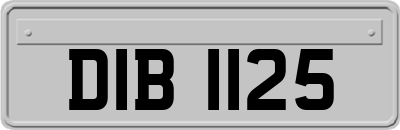 DIB1125