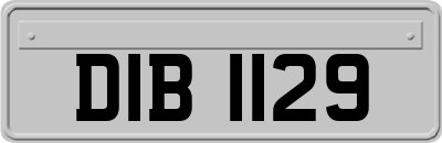 DIB1129