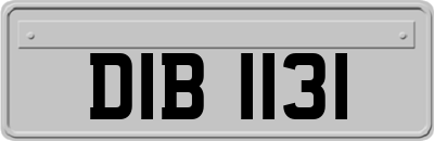 DIB1131