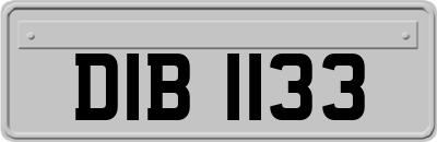 DIB1133
