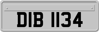 DIB1134