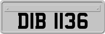 DIB1136