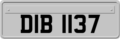 DIB1137