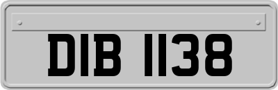 DIB1138
