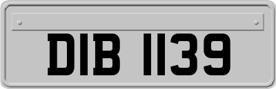 DIB1139