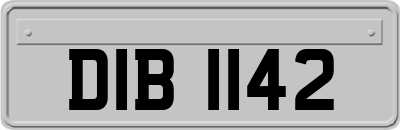 DIB1142