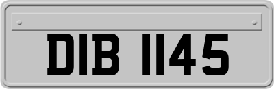 DIB1145