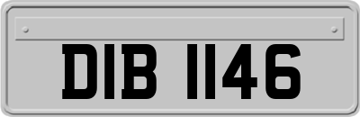 DIB1146