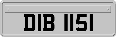 DIB1151