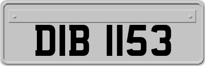DIB1153