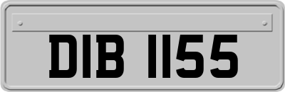 DIB1155