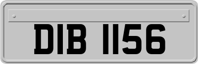 DIB1156
