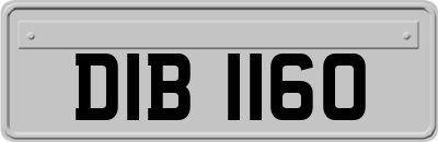 DIB1160