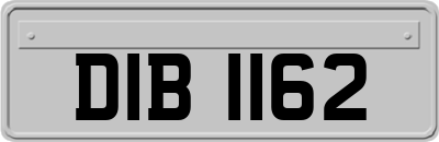 DIB1162