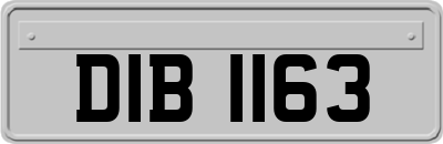 DIB1163